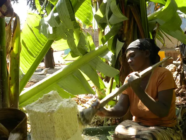 Foto von Äthiopisches Kocho Fladenbrot – fertig angerichtet