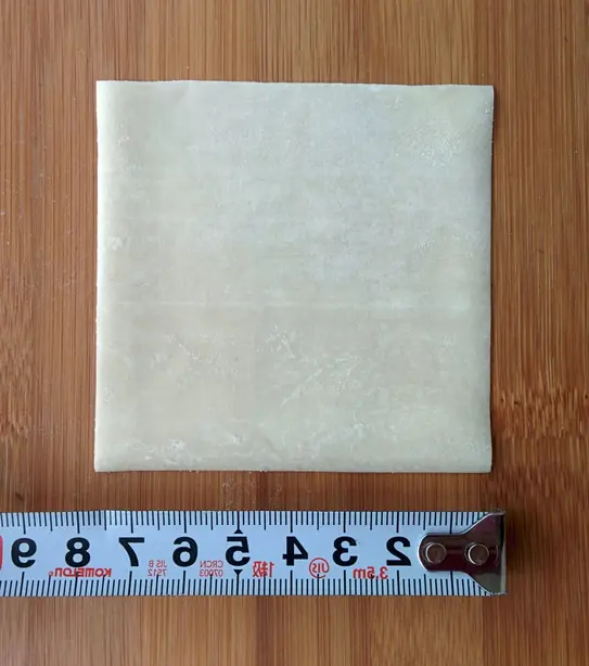 Wonton wrapper – Foto: Susan Slater (CC BY-SA 4.0)