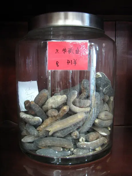 Cook Snap von kochcode-team