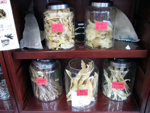 Cook Snap von kochcode-team