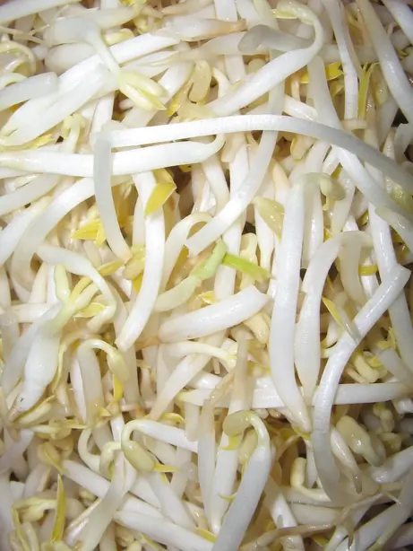 Cook Snap von kochcode-team