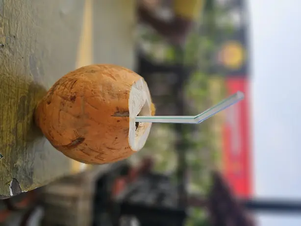 Cook Snap von kochcode-team