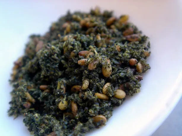 Cook Snap von kochcode-team